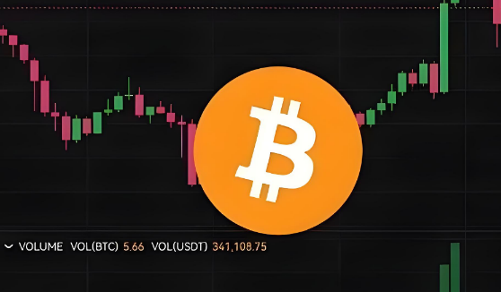 采用杠杆策略的MicroStrategy ETF资产总额已超过4亿美元