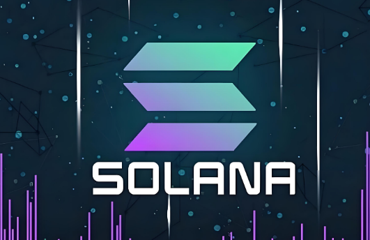 谁是Solana的最大股东？SOL的最大持有者是谁？